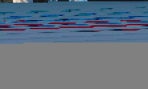 Psilocybin Micro-Dosing in Business Innovation